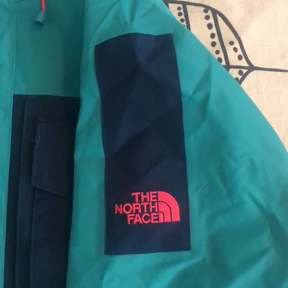 The north face fantasy ridge GTX Parka - Picture 5 of 9